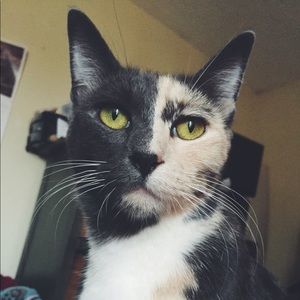 Meet your Posher, Carla